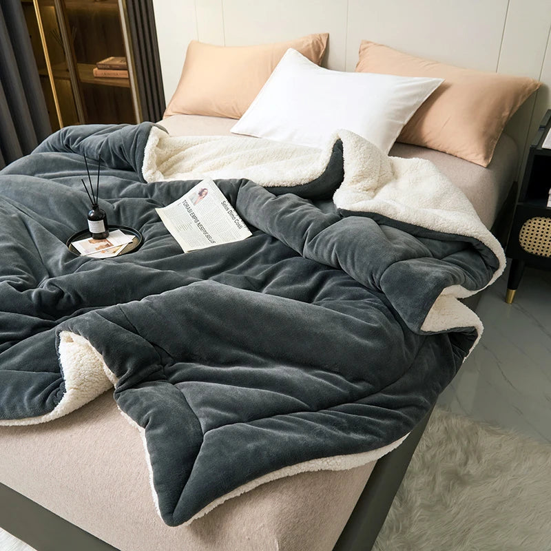 Super Soft Imitation Lambswool Blanket Autumn Winter Double Queen Blankets High Quality Comfortable Milk Fleece Sofa Blanket